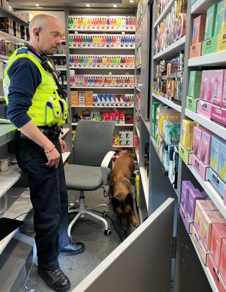 Trading Standards prosecution featuring a dog called Rio