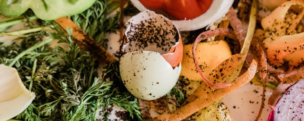 Egg shell on vegetable scraps