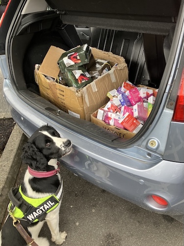 Sniffer dog Ziggy with counterfeit goods